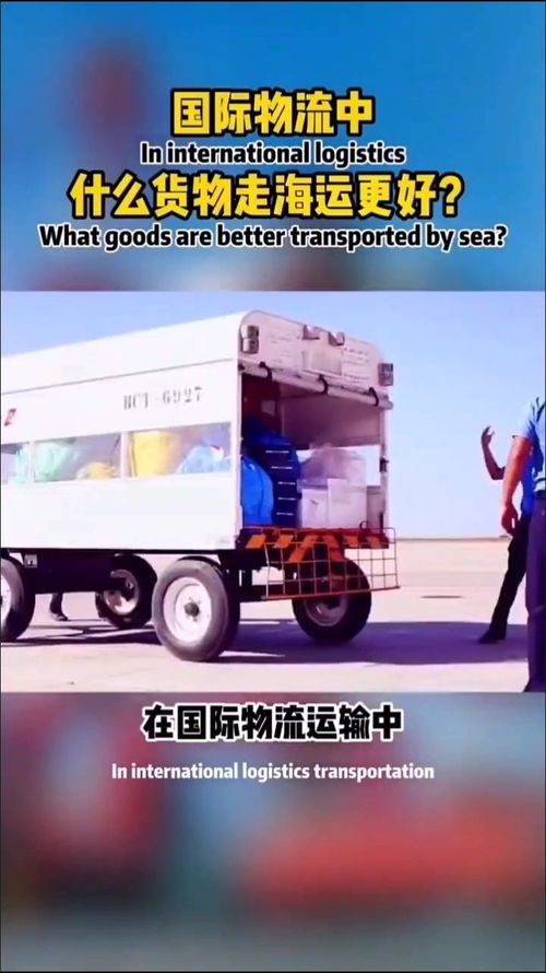 國際物流中適宜海運(yùn)的貨物類型及公路國際貨物運(yùn)輸代理的重要性