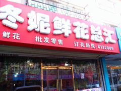 冬妮鮮花總匯